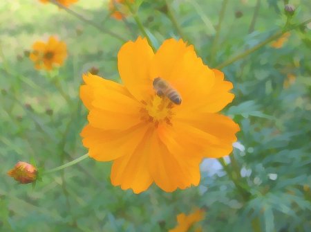 Cosmos 1